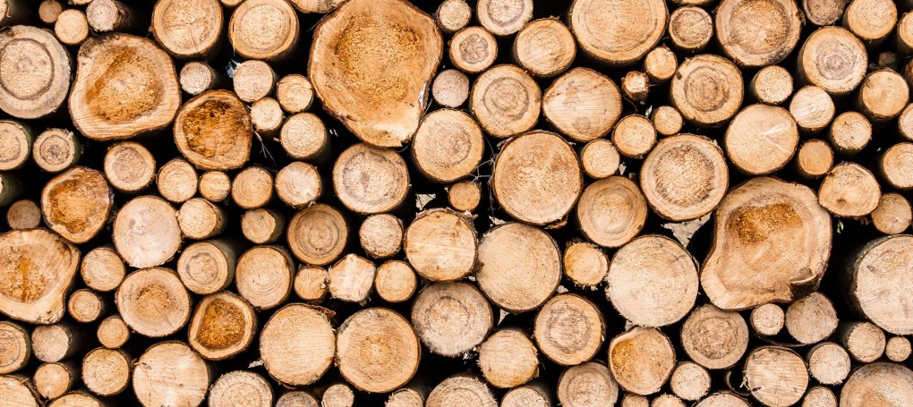 Holzschlägerung und Holzbringung in Großarl - Forstbetrieb Laireiter