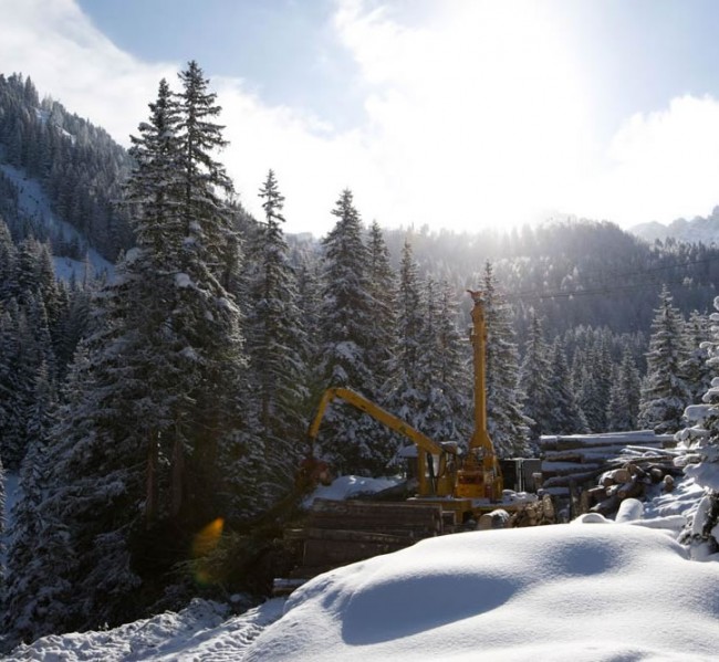 Forstarbeiten im Winter mit Forstbetrieb Laireiter Großarl