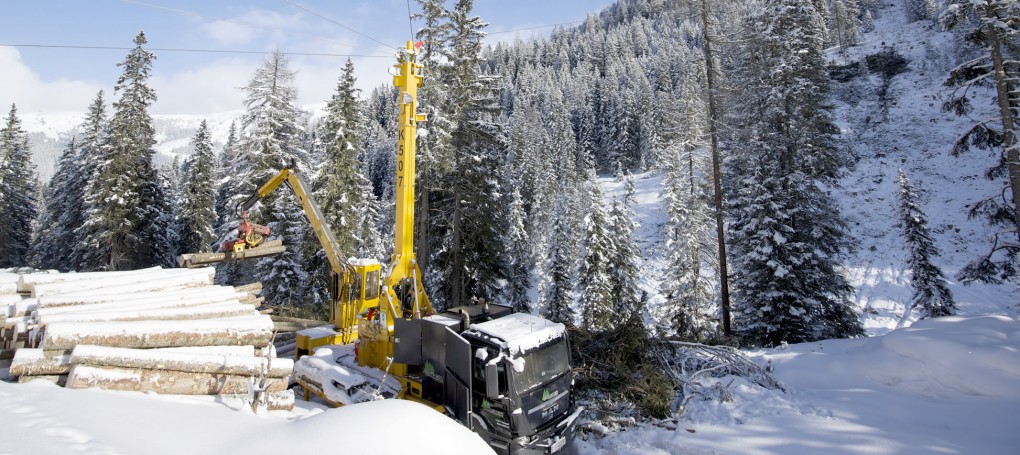 Holzarbeiten zur Winterzeit im Wald, Forstbetrieb Laireiter Großarl im Pongau